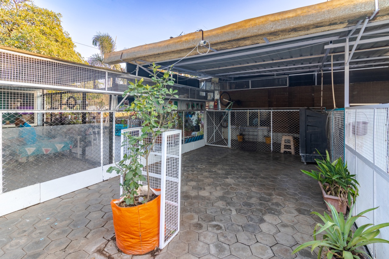 Dog Park - Professional service photo 1